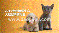 2019宠物消费生态大数据研究报告.pptx