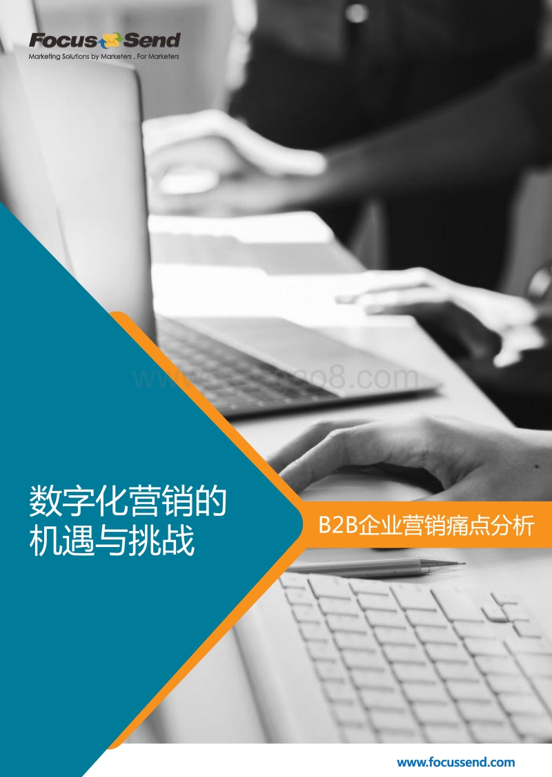 数字化营销的机遇与挑战，B2B企业营销痛点分析.pdf_第1页