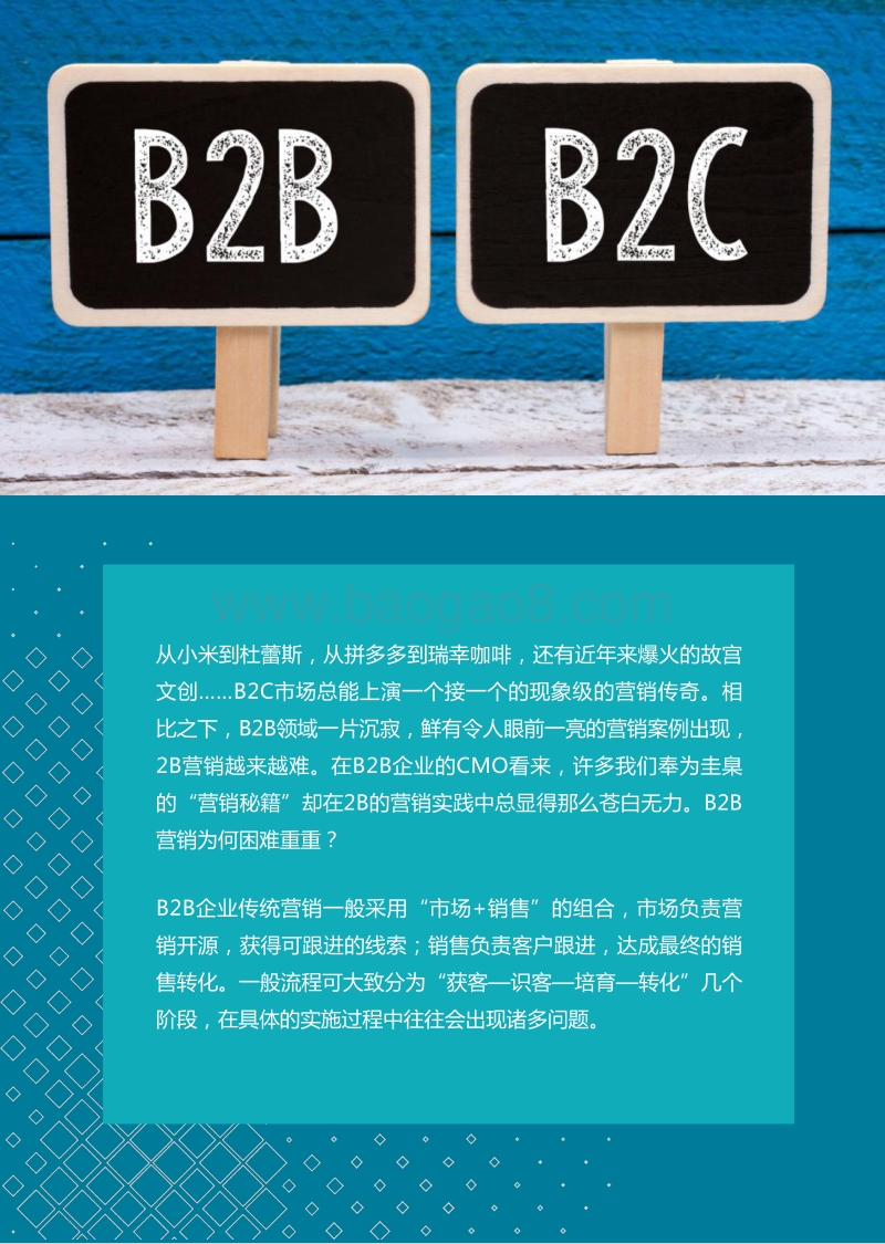 数字化营销的机遇与挑战，B2B企业营销痛点分析.pdf_第2页
