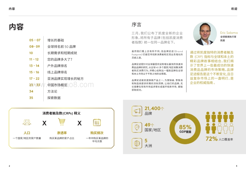 2019年品牌足迹：消费者选择最多的品牌排名.pdf_第2页