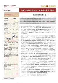隐蔽工程系列报告之一：隐蔽工程核心为安全，渠道助力集中度提升.pdf