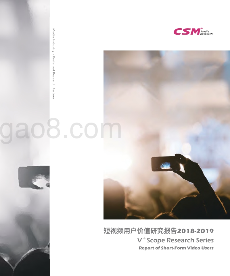 2018-2019短视频用户价值研究报告.pdf_第1页