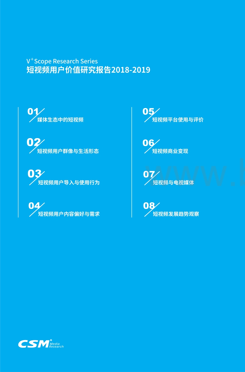 2018-2019短视频用户价值研究报告.pdf_第2页