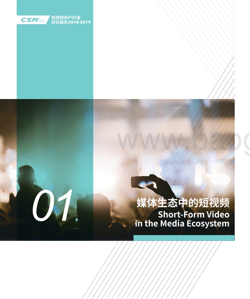 2018-2019短视频用户价值研究报告.pdf_第3页