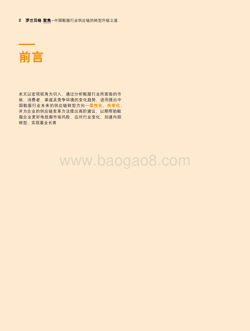 中国鞋服行业供应链的转型升级之道.pdf_第2页