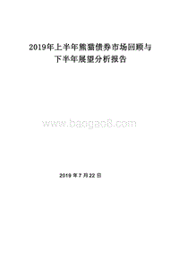 2019年上半年熊猫债券市场回顾与下半年展望分析报告.docx