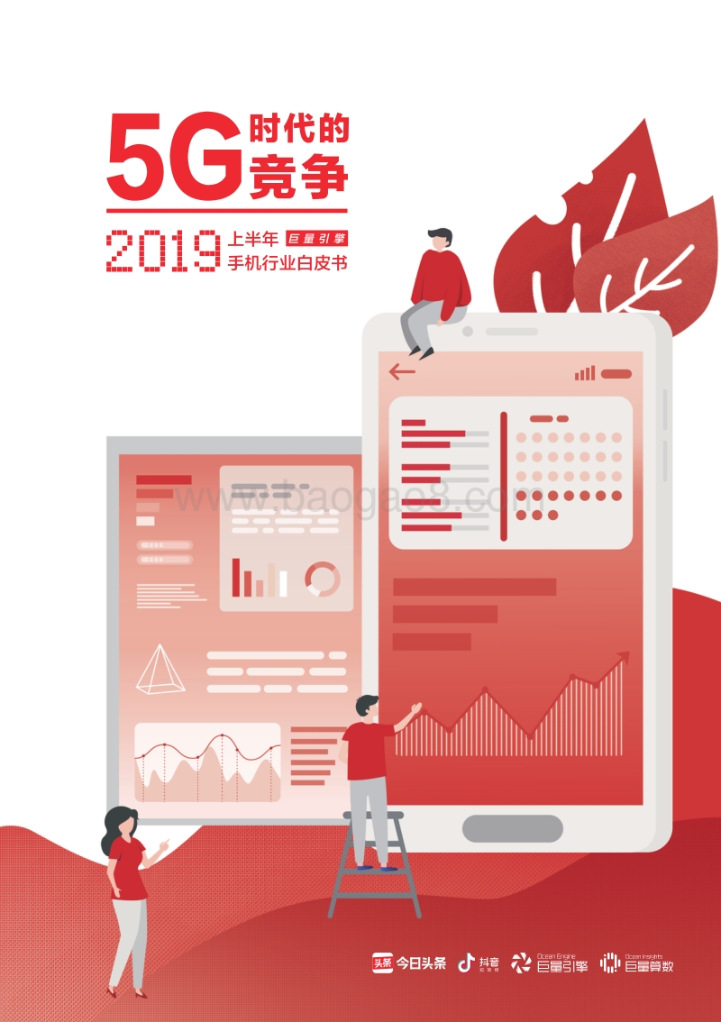 2019上半年手机行业白皮书.pdf_第1页