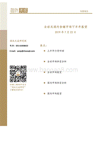 全球及国内食糖市场下半年展望.pdf