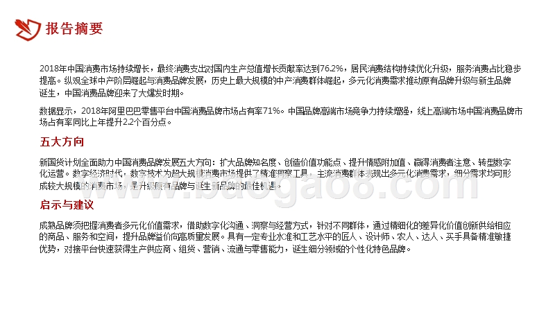 2019中国消费品牌发展研究报告.pptx_第2页