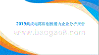 2019集成电路科创板潜力企业分析报告.pptx