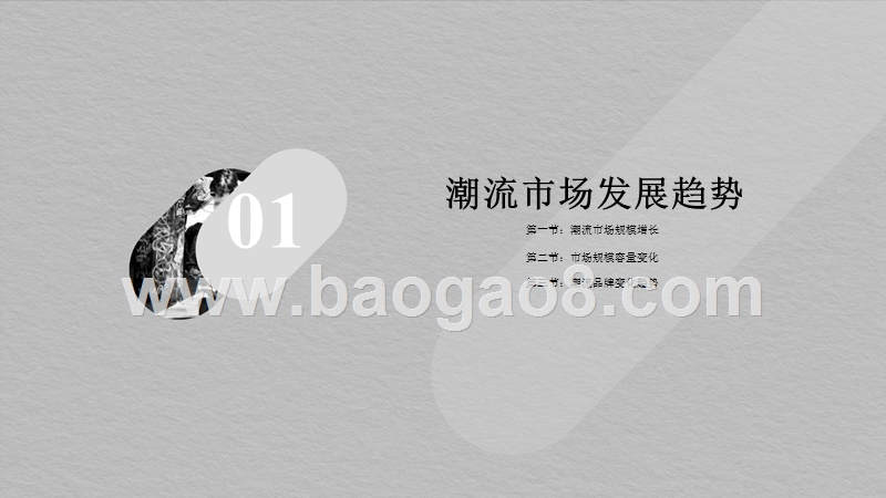2019潮流文化发展研究报告.pptx_第2页