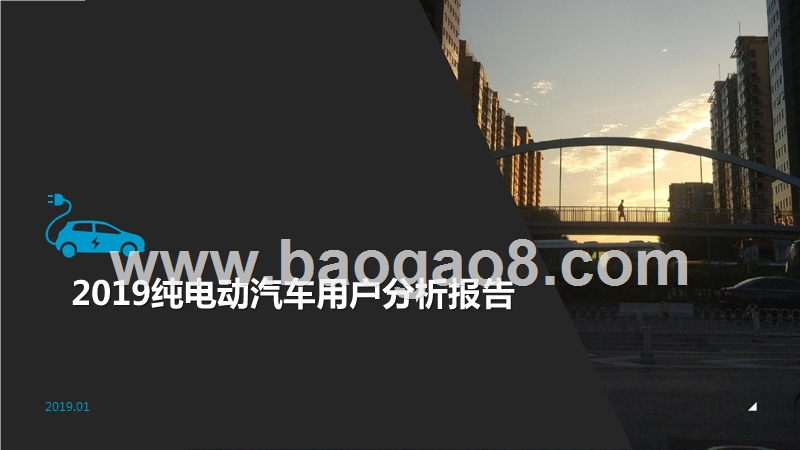 2019纯电动汽车用户分析报告.pptx_第1页