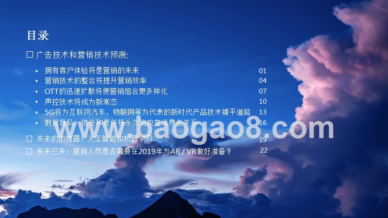 2019全球广告技术和营销技术发展分析报告.pptx_第2页