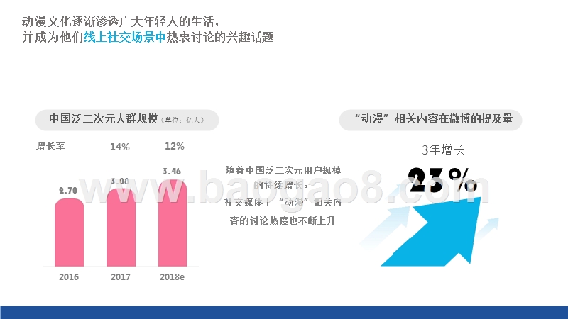 2019年轻人动漫文化分析报告.pptx_第5页