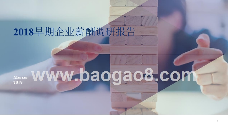 2018早期企业薪酬调研报告.pptx_第1页