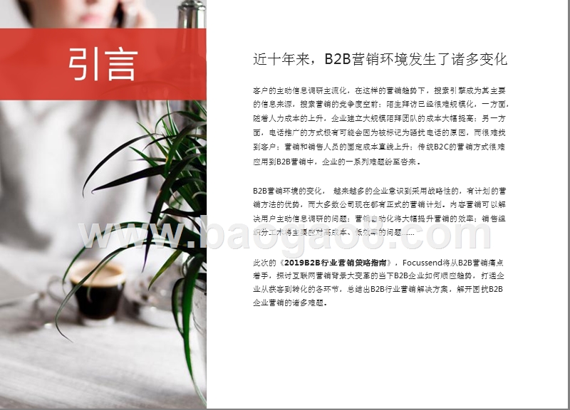 2019年B2B行业营销策略分析报告.pptx_第2页