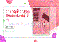 2019年B2B行业营销策略分析报告.pptx