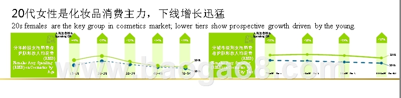 2019市场变革下品牌增长模式分析报告.pptx_第4页
