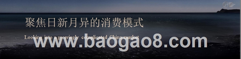 2019市场变革下品牌增长模式分析报告.pptx_第5页