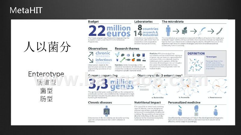 微生物组产业生态概要分析报告.pptx_第3页