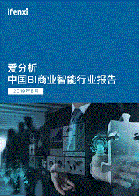 2019年中国BI商业智能行业报告.pdf