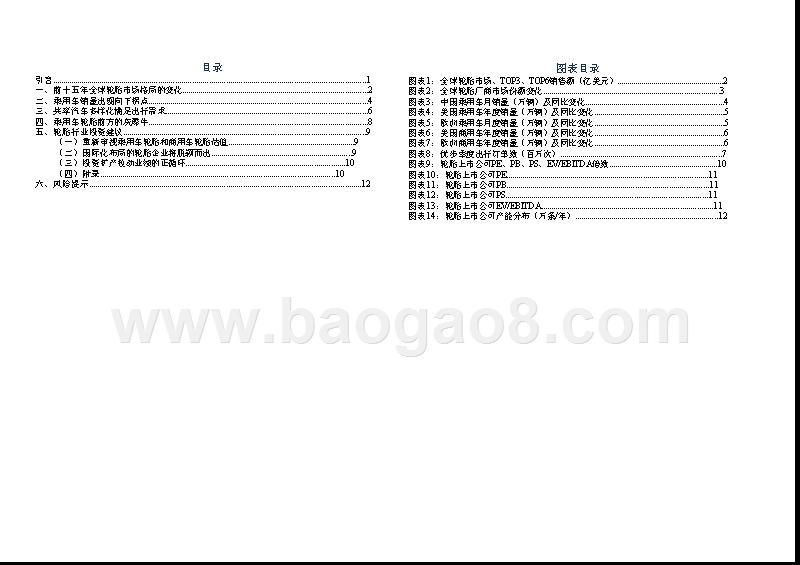 2019轮胎行业发展分析报告.pptx_第2页