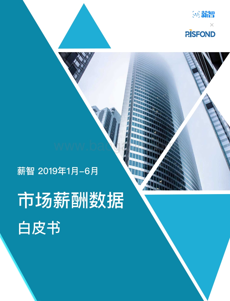 2019年上半年人力资源市场薪酬数据白皮书.pdf_第1页