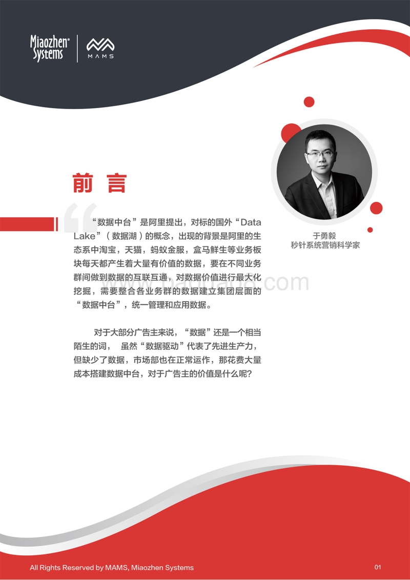 营销数据中台白皮书.pdf_第2页