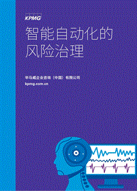 智能自动化的风险治理.pdf