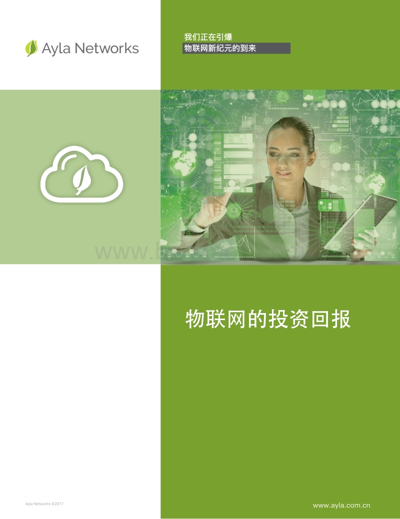 物联网的投资回报.pdf_第1页