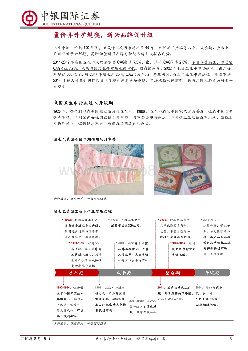 卫生巾行业专题报告：卫生巾行业处升级期，新兴品牌存机遇.pdf_第5页