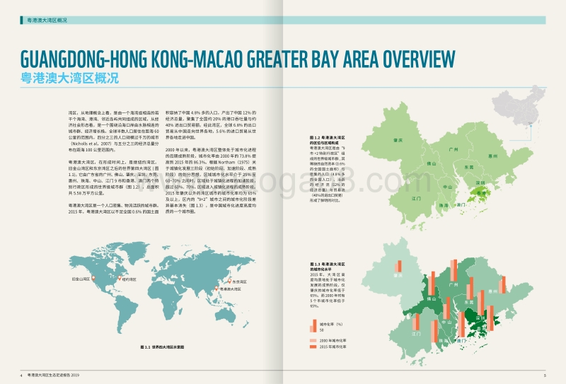 2019粤港澳大湾区生态足迹报告.pdf_第4页