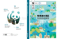 2019粤港澳大湾区生态足迹报告.pdf