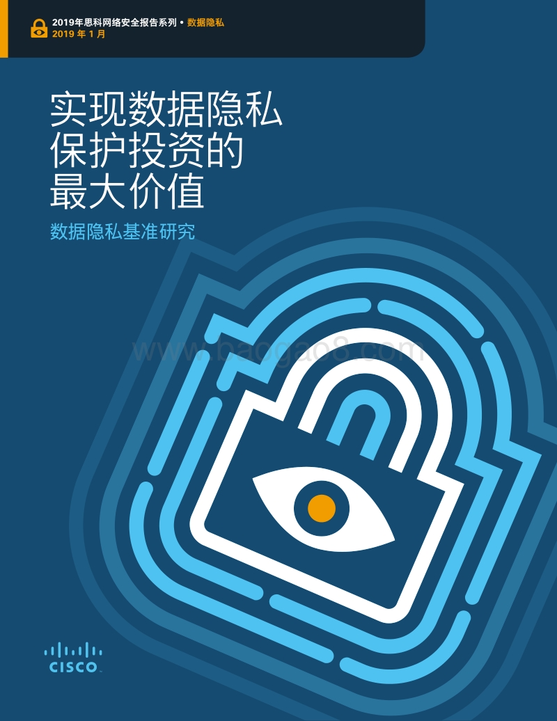数据隐私基准研究：实现数据隐私保护投资的最大价值.pdf_第1页