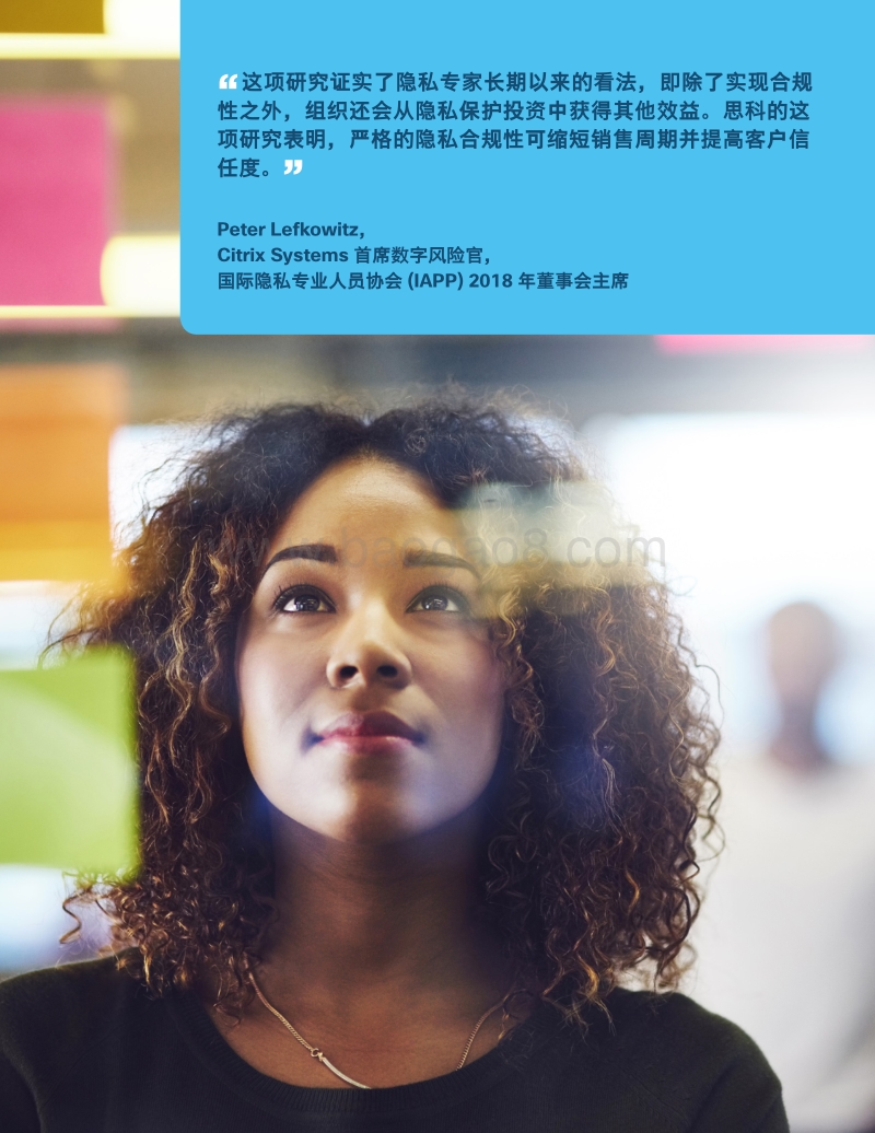 数据隐私基准研究：实现数据隐私保护投资的最大价值.pdf_第3页