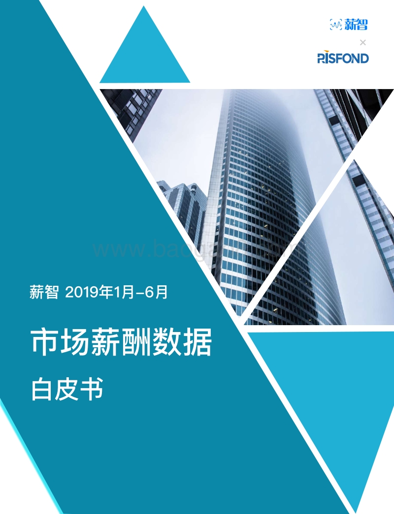2019年1月-6月市场薪酬数据白皮书.pdf_第1页