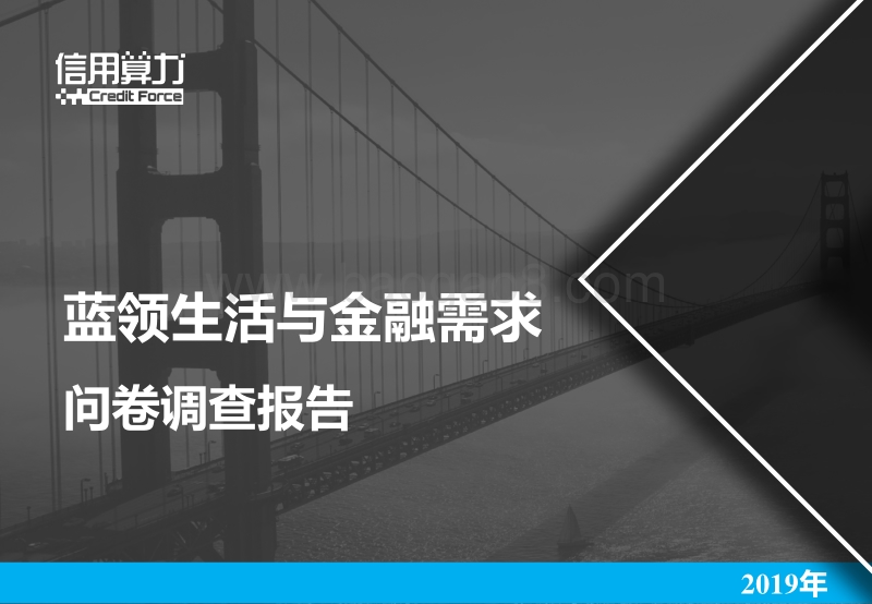 2019年蓝领生活与金融需求问卷调查报告.pdf_第1页