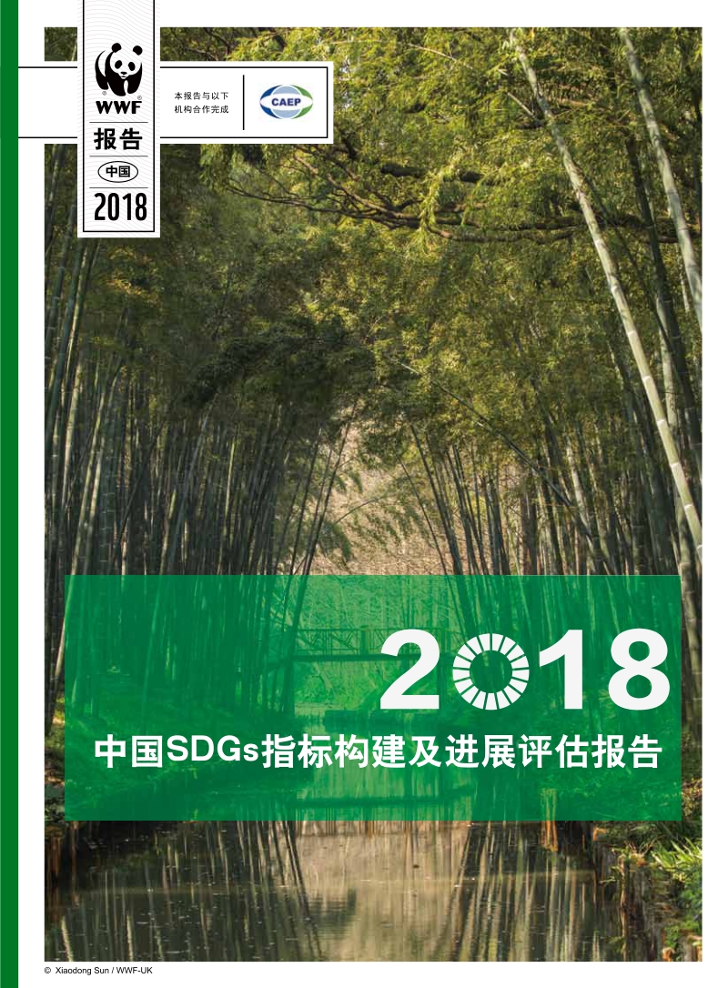 2018中国SDGs指标构建及进展评估报告.pdf_第1页