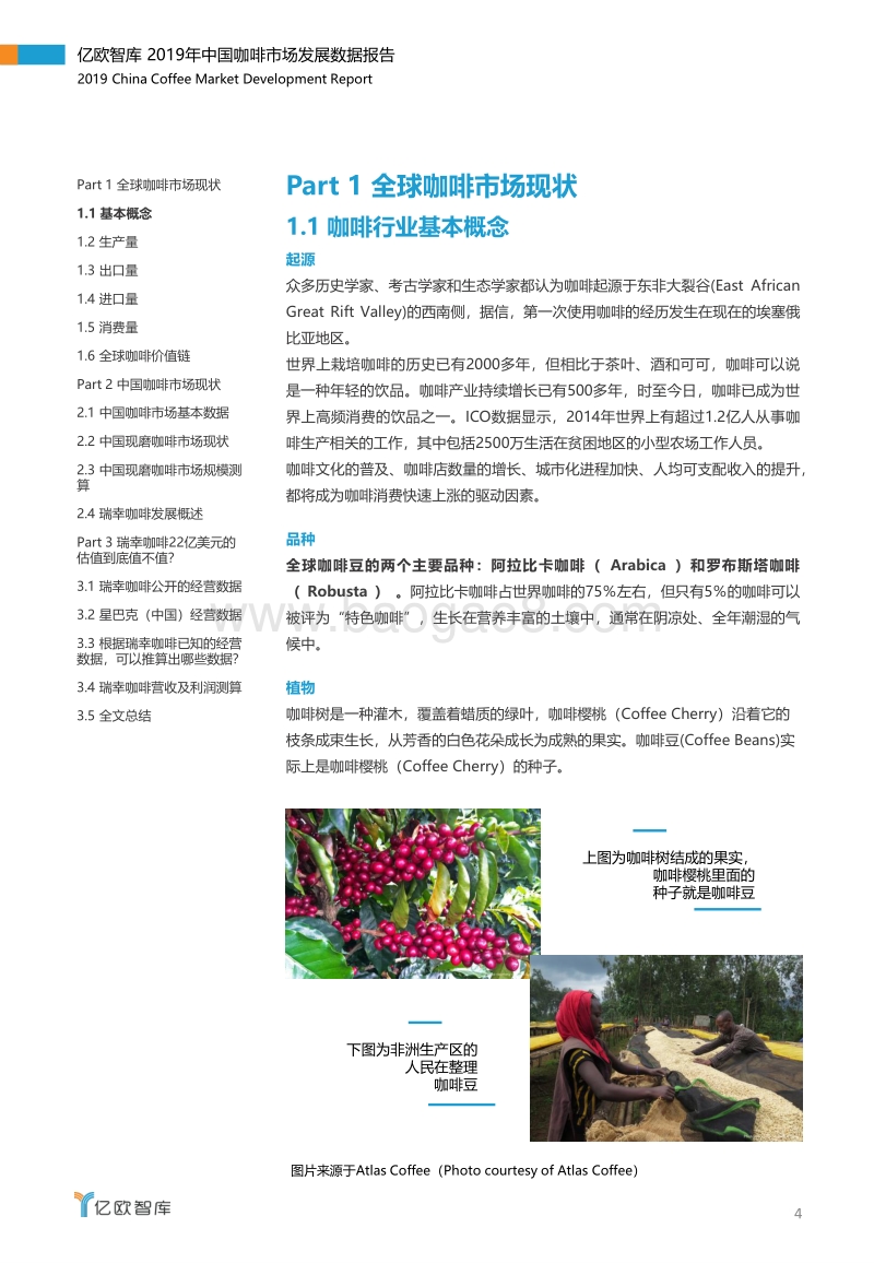 2019年中国咖啡市场数据报告：破译瑞幸咖啡估值密码.pdf_第4页