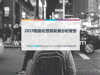 2019智能化营销发展分析报告.pptx