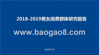2018-2019男女消费群体研究报告.pptx