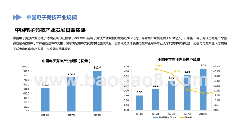 2018-2019电子竞技产业人才报告.pptx_第5页
