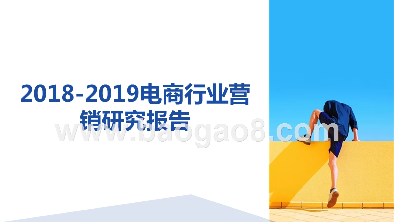 2018-2019电商行业营销研究报告.pptx_第1页