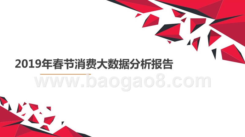 2019年春节消费大数据分析报告.pptx_第1页
