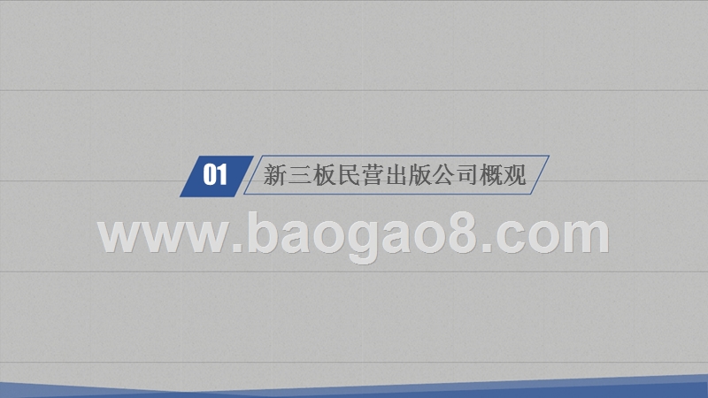 2018-2019新三板民营出版公司绩效数据报告.pptx_第3页