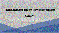 2018-2019新三板民营出版公司绩效数据报告.pptx