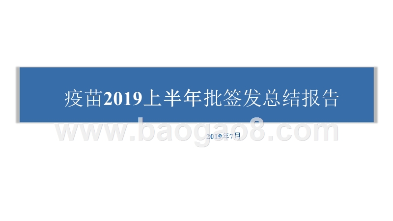 疫苗2019上半年批签发总结报告.pptx_第1页