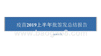 疫苗2019上半年批签发总结报告.pptx