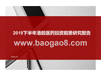 2019下半年港股医药投资前景研究报告.pptx