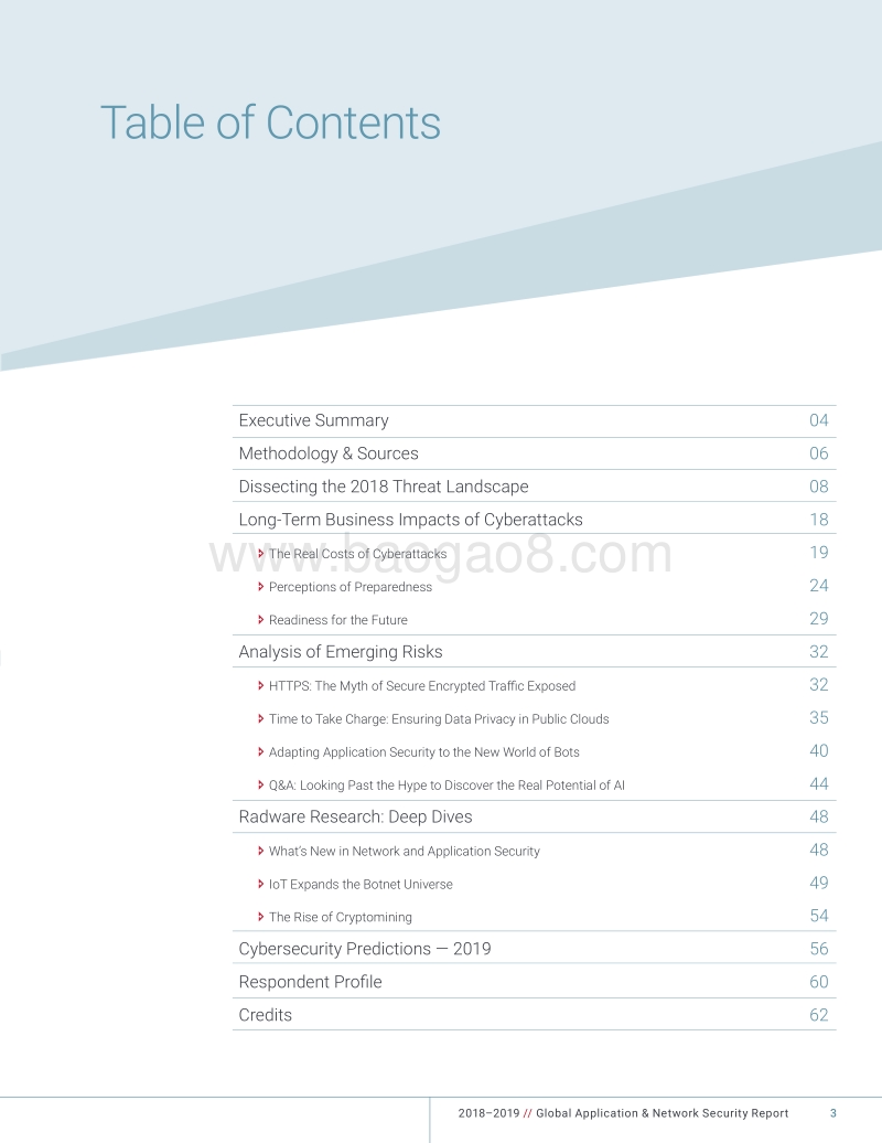 2018-2019全球应用和网络安全报告（英文版）.pdf_第3页